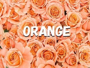 悪質出会い系サイト「ORANGE(オレンジ)」ロゴ画像