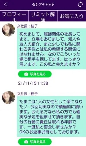 出会い アプリ セレブチャット サクラ 女社長：桂子 チャット