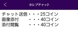 出会い アプリ セレブチャット 消費ポイント