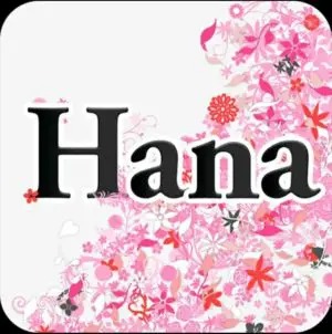 出会い アプリ Hana TOP画像