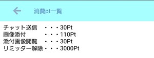 出会い アプリ ペアチャット 消費ポイント