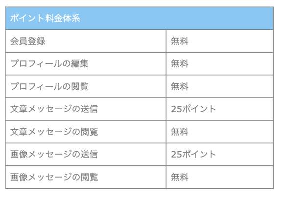 ポイント料金体系のスクリーンショット