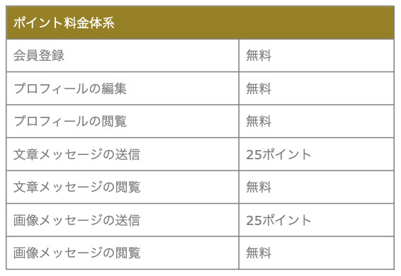 ポイント料金体系