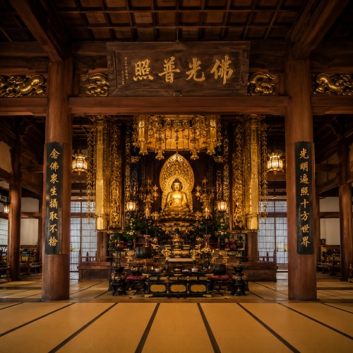 天の糸の鑑定師を名乗る一休寺 円心のアイコン画像